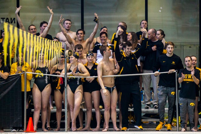 Iowa Hawkeyes celebrate during a NCAA Big Ten Conference swimming meet on Saturday, Jan. 19, 2019, at the Campus Recreation and Wellness Center in Iowa City, Iowa.